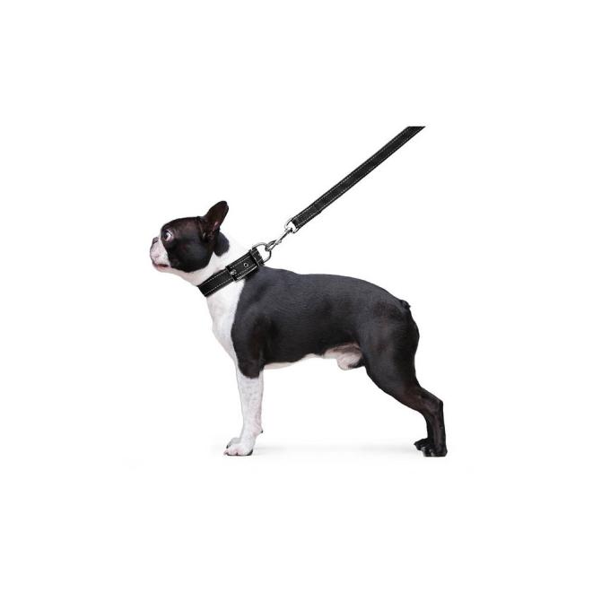 Dog Extreme 42981