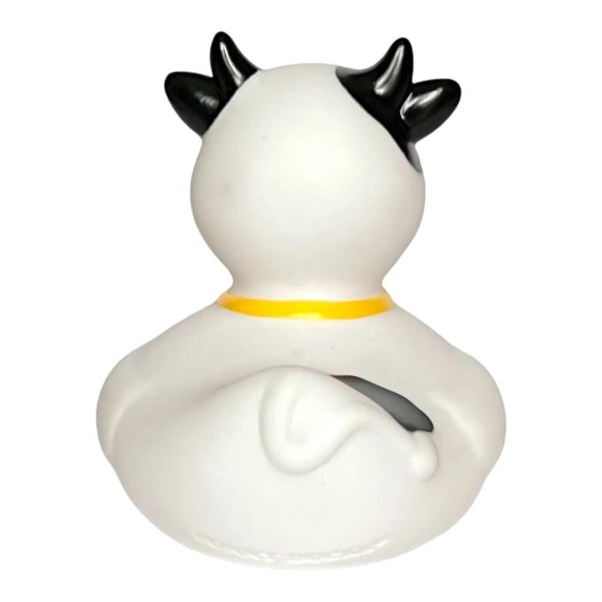 Funny Ducks 1832