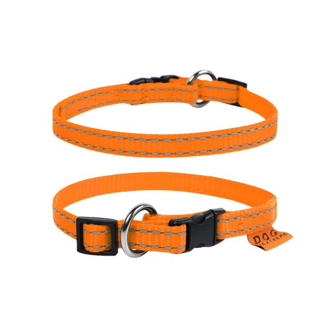 Dog Extreme 01624