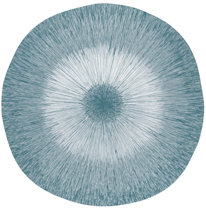 Luminarc X0097