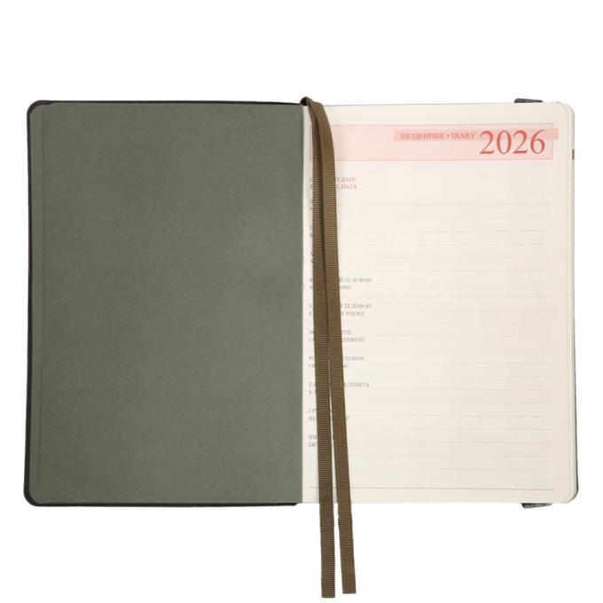 Leo planner 252694
