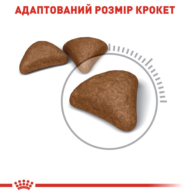 Royal Canin 2526004