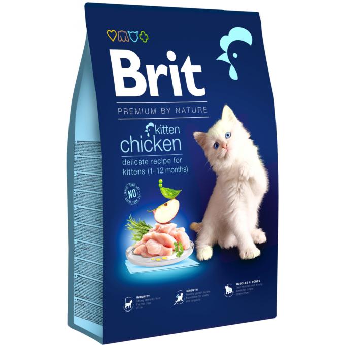 Brit Premium 8595602553198