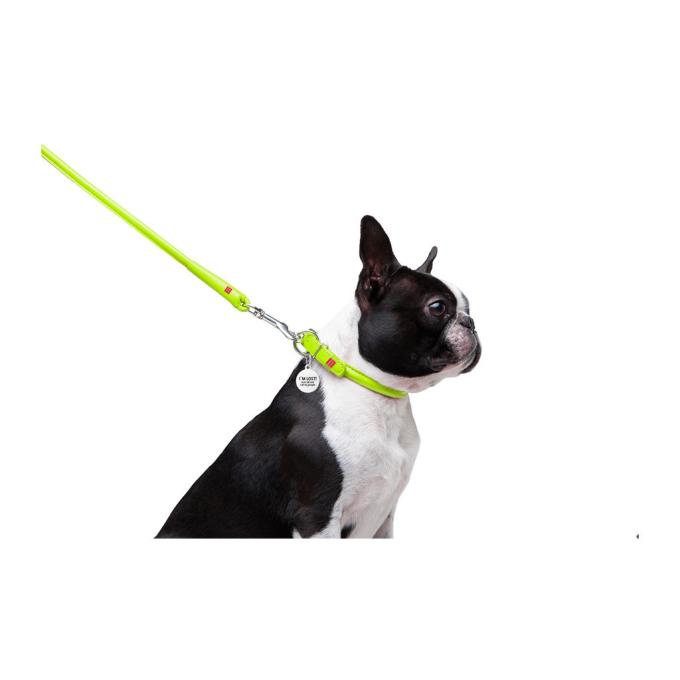 WAUDOG 33775