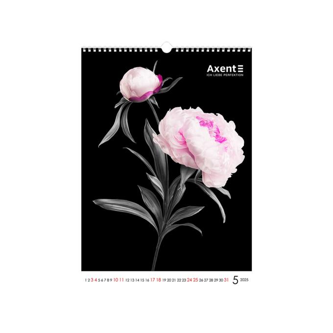 Axent 8804-25-2-A