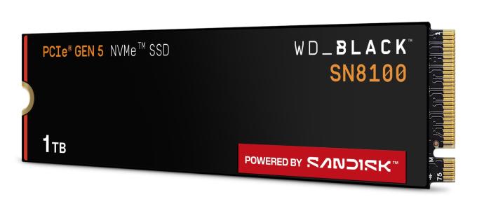 SANDISK WDS100T1X0M