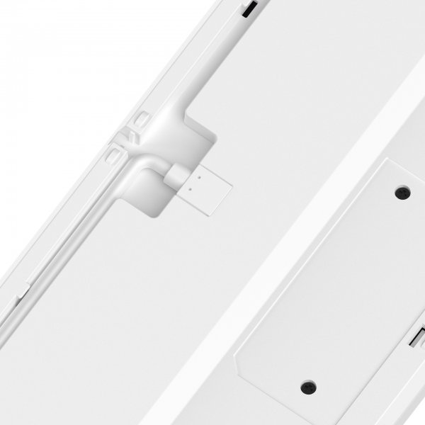 Bloody B230N (White)