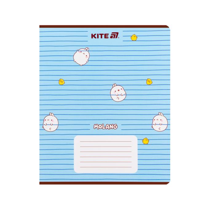 Kite ML25-237
