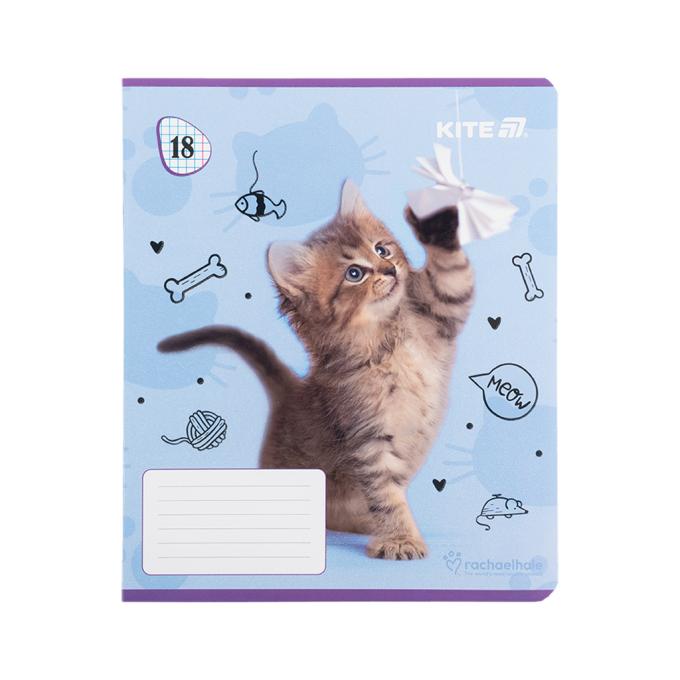 Kite R25-236