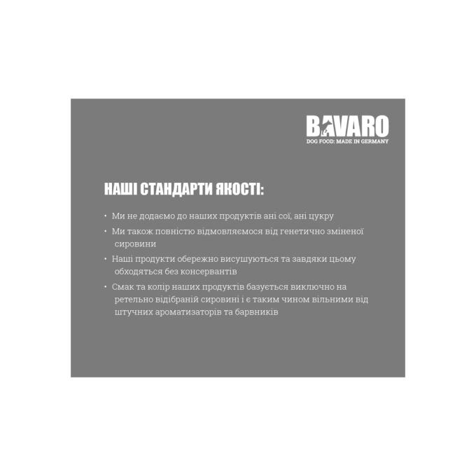 Bavaro 4032254743613