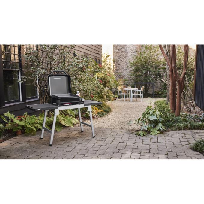 Weber 1501161