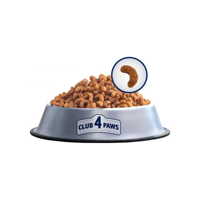 Club 4 Paws 4820083909139