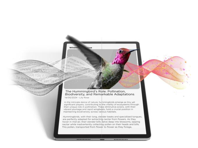 Lenovo ZAE50114UA