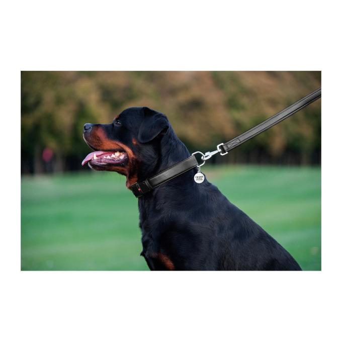 WAUDOG 33761
