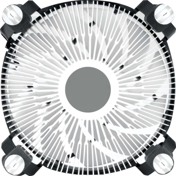 Arctic ACALP00042A