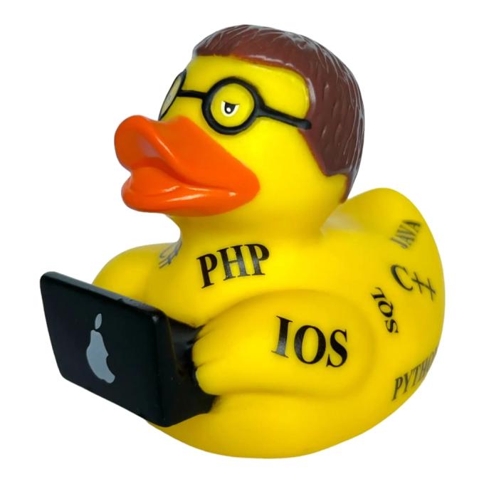 Funny Ducks 1333
