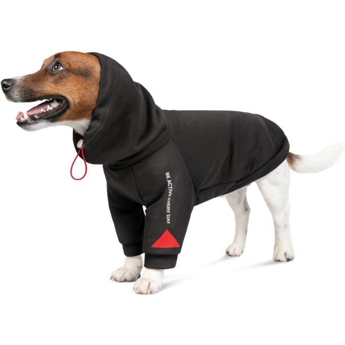 Pet Fashion 4823082423415