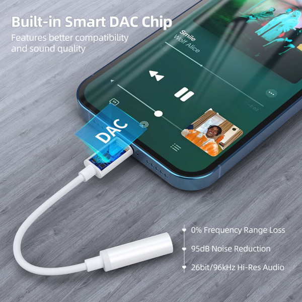 Choetech AUX005