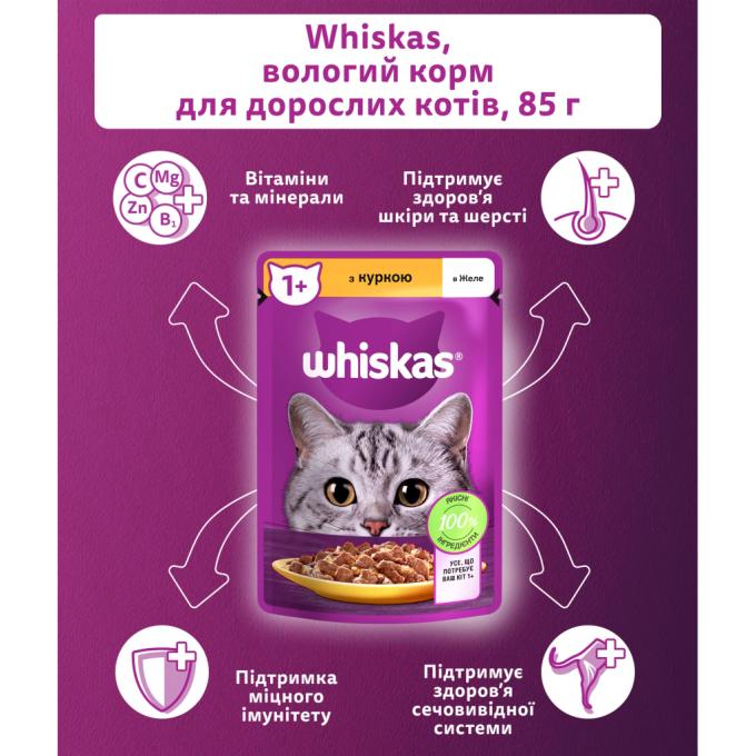 Whiskas 5900951302138