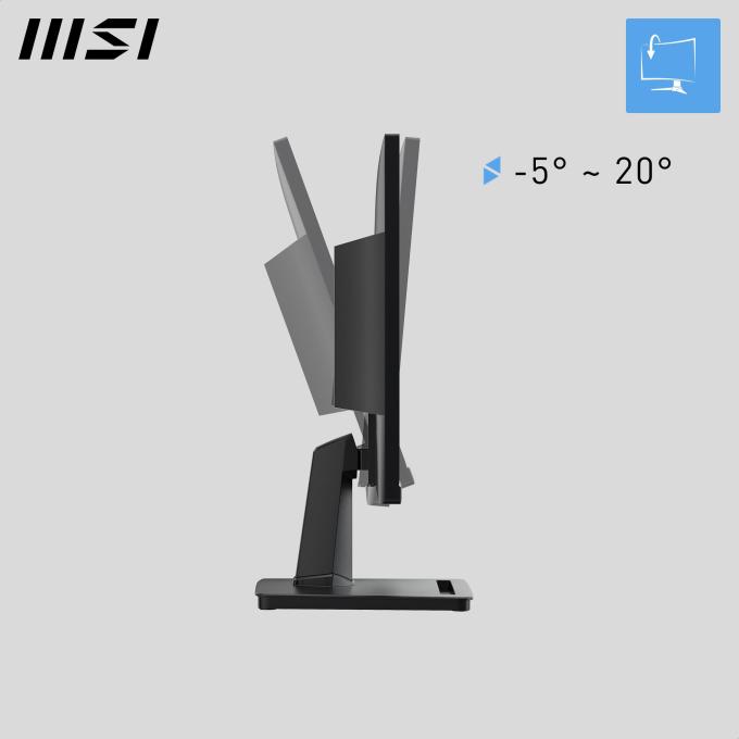 MSI Pro MP225V
