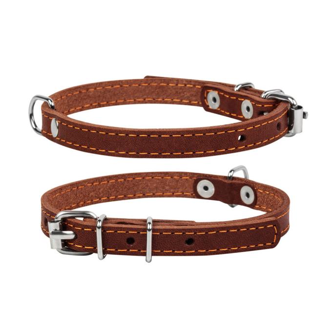 Collar 00036