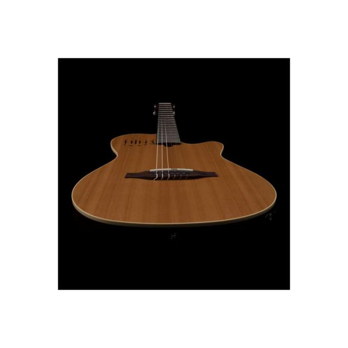 Godin 235917