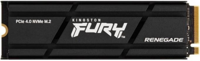 Kingston SFYRSK/500G