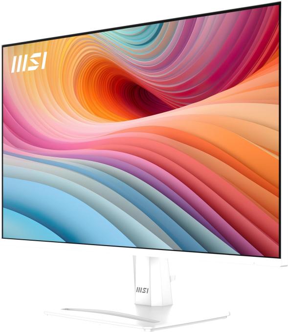 MSI PRO MP251W E2