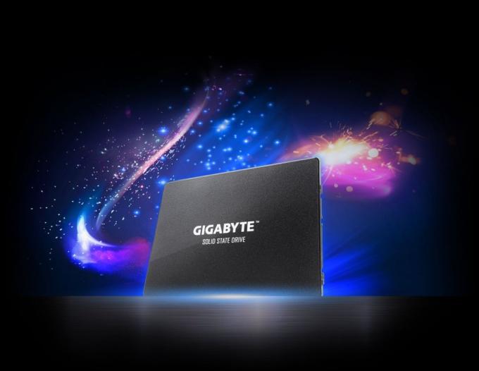 GIGABYTE GP-GSTFS31480GNTD