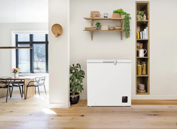 Gorenje FH20E6W5