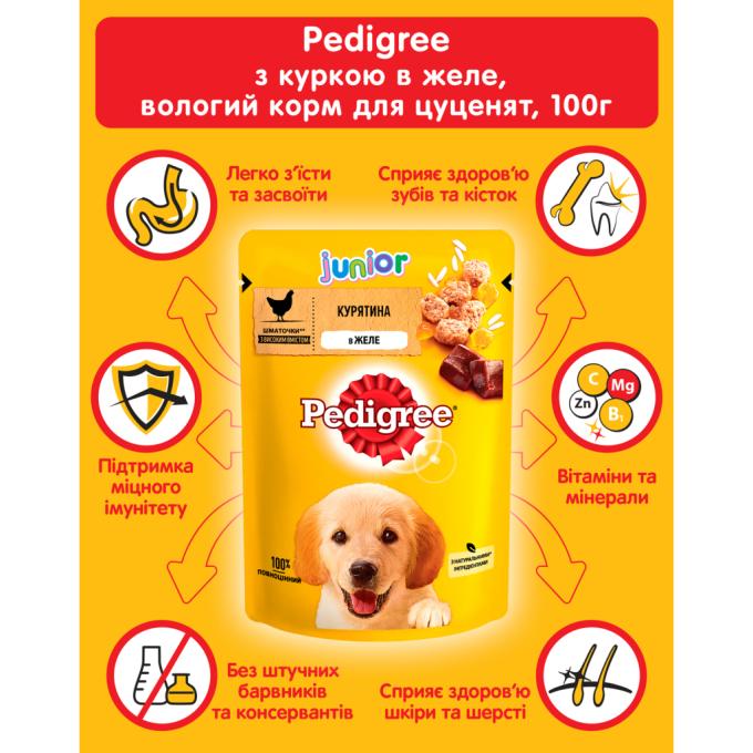 Pedigree 5900951017247