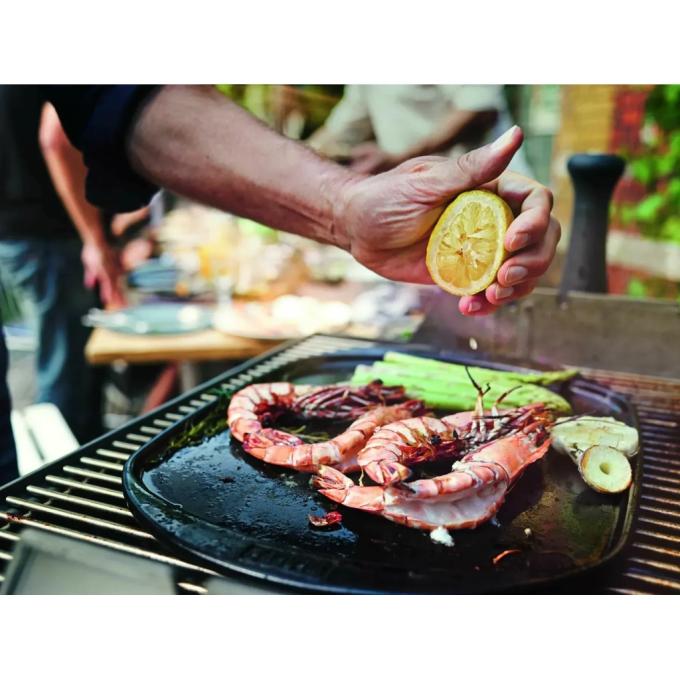 Weber 17509