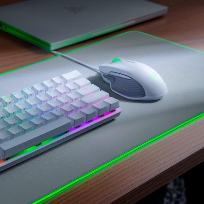 Razer RZ02-02500314-R3M1