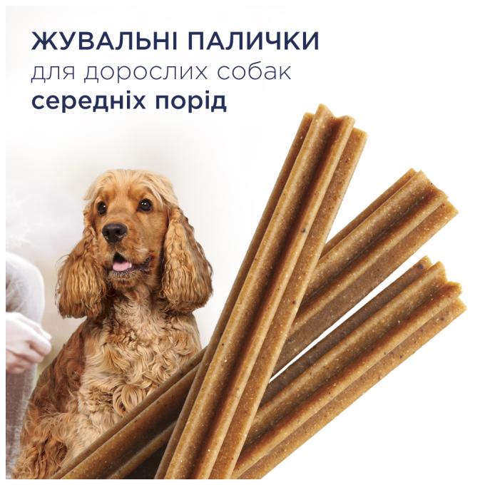 Club 4 Paws 4820215363228