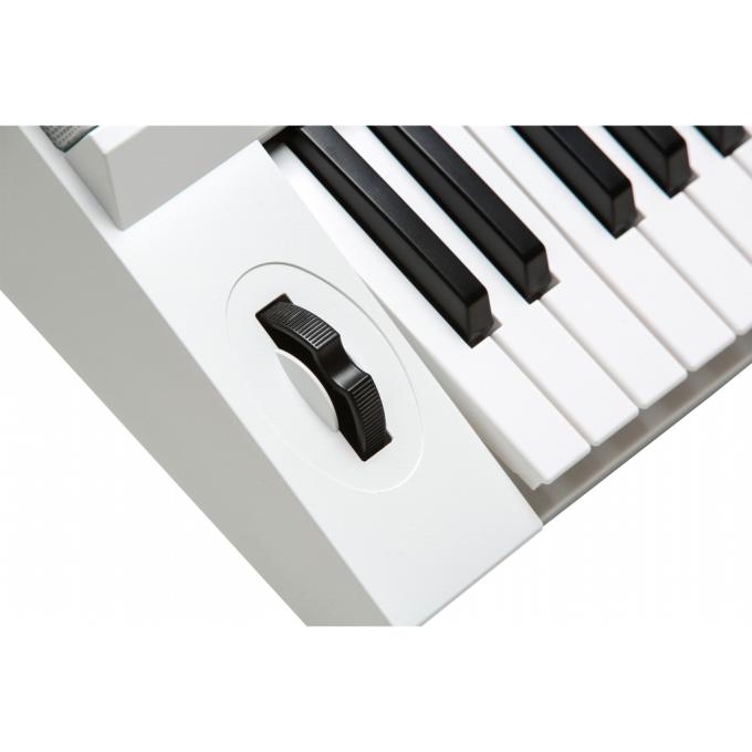 Kurzweil 286763
