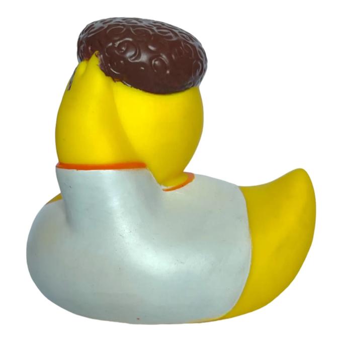 Funny Ducks 1330