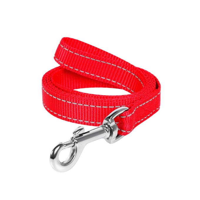 Dog Extreme 04673