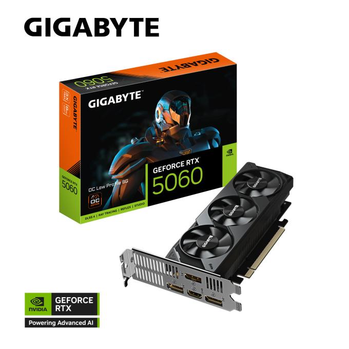 GIGABYTE GV-N5060OC-8GL