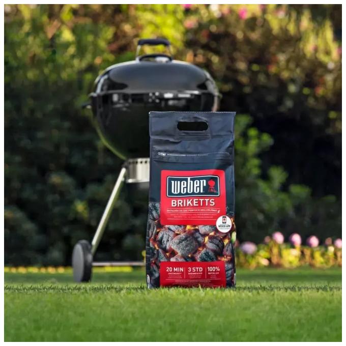 Weber 17590