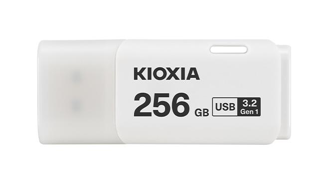 Kioxia LU301W256GG4