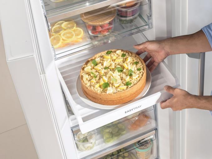 Gorenje FN619EAW6