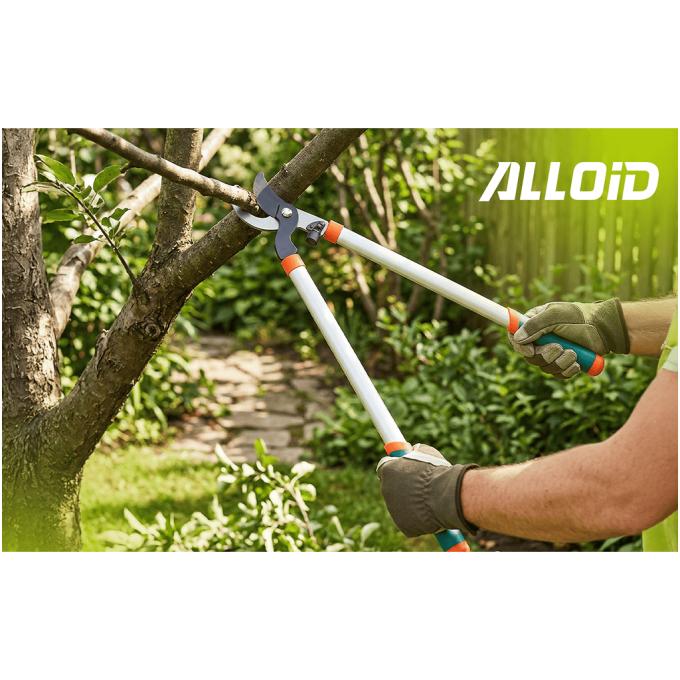 Alloid LS-103780