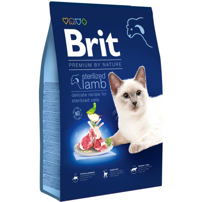 Brit Premium 8595602553242