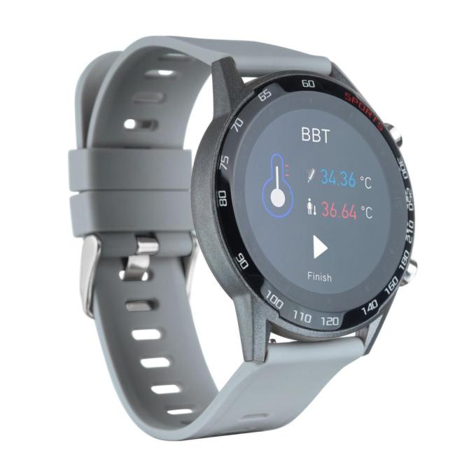 Globex Smart Watch Me2 (Gray)