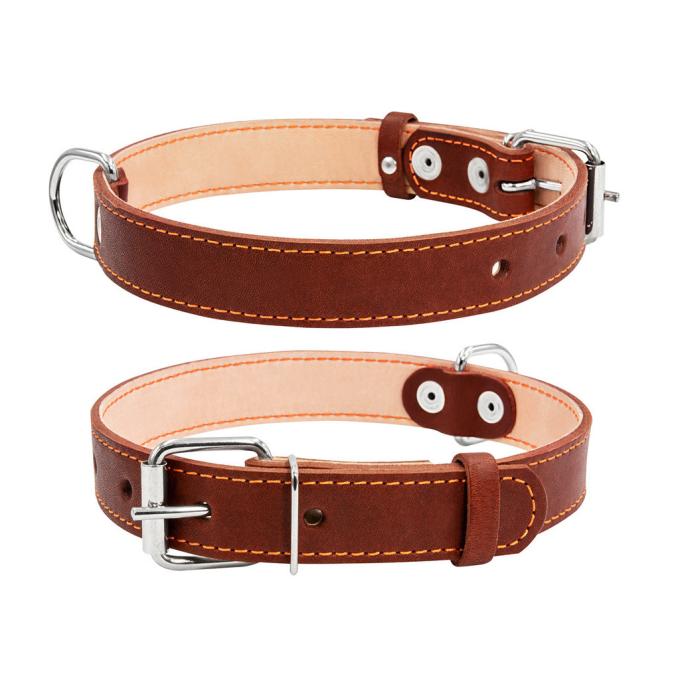 Collar 02296