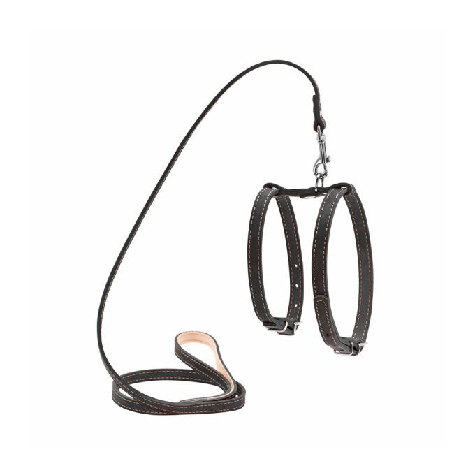 Collar 05471