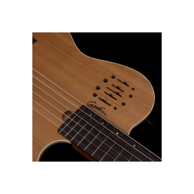 Godin 235917