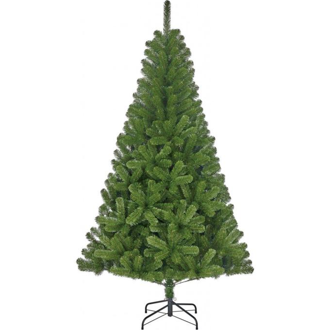 Black Box Trees 8718861279351