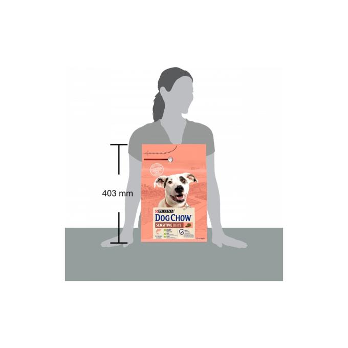 Purina Dog Chow 7613034488268