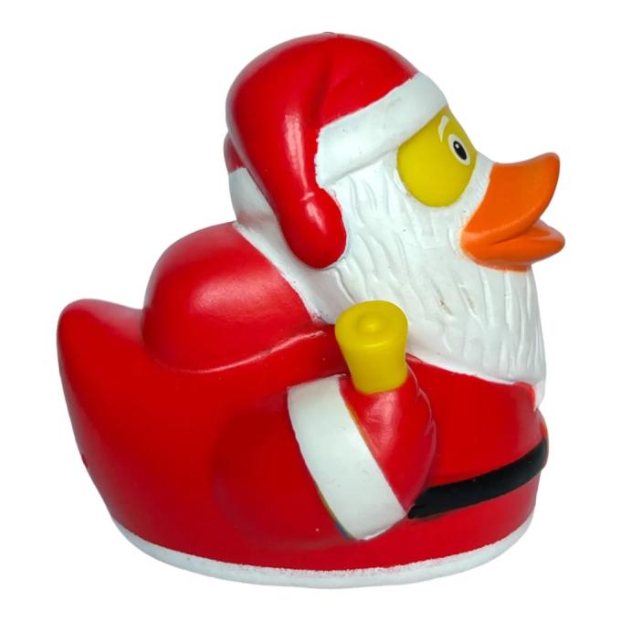 Funny Ducks 1322